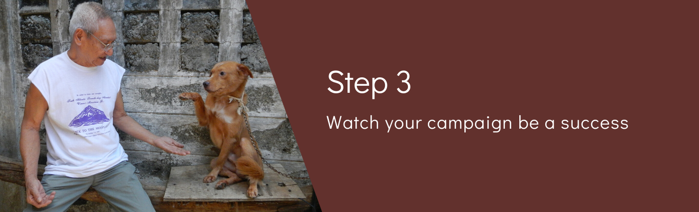 Step 3: Watch your event be a success