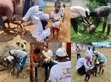 Photo collage of vaccination teams in Zanzibar supported by GARC