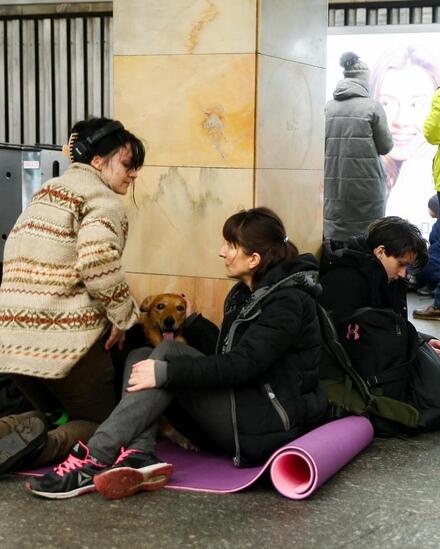 Refugees and their dog. Ukraine crisis 2022. Courtesy: UAnimal