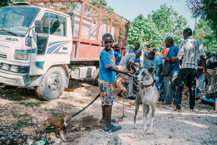 Boy with two dogs on leash at mass vaccination campaign. Haiti. GARC