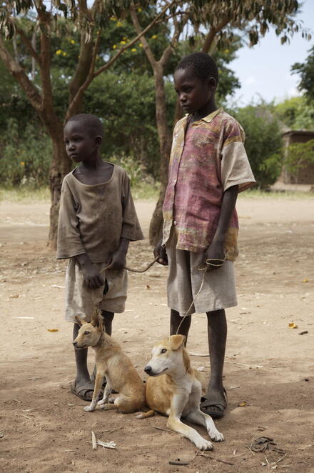 Two boys and their dogs. Tanzania Mass dog vaccination campaign, GARC.