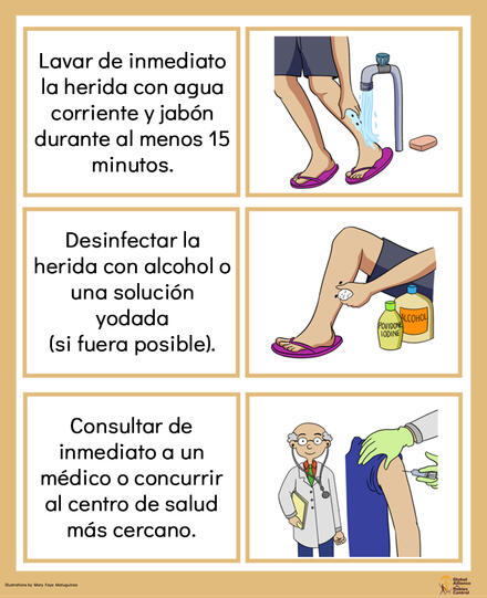 Wound care poster by GARC in Spanish