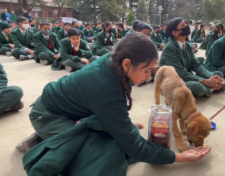 Girl feeding a puppy in Dharamsala