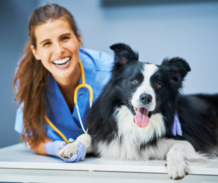 Smiling vet and dog