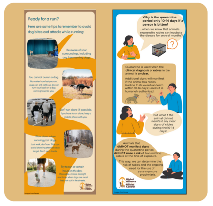 Various infographic resources available on the GARC website