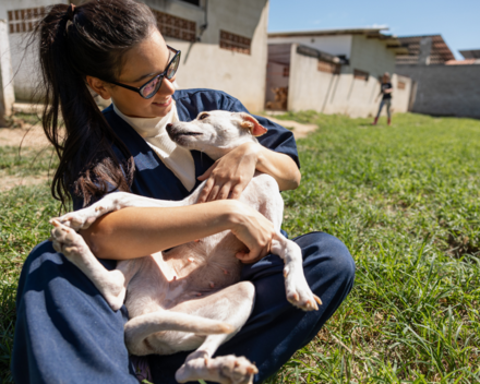 Kerenza of GARC playing with a dog