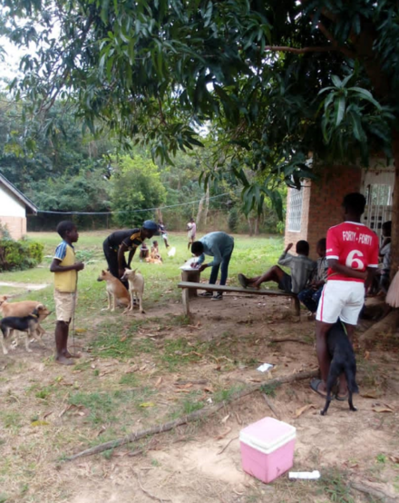 Vaccination campaign in Malawi 2022