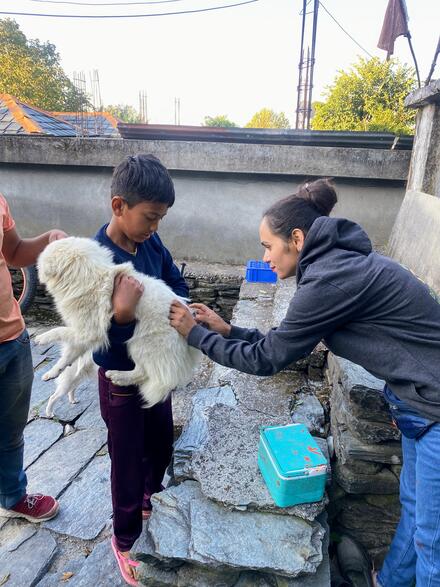 Pet vaccination during DAR annual camp