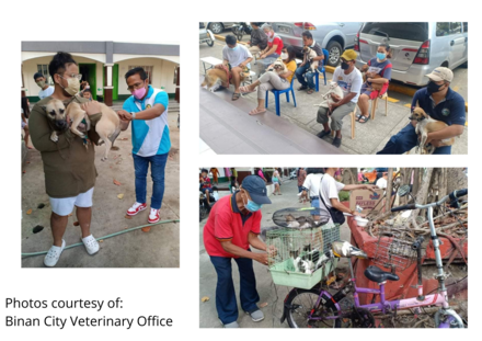 Philippines rabies awareness month celebrations, GARC and government, Binan City