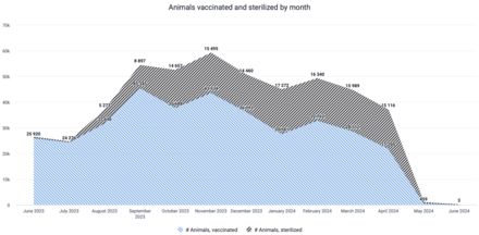 New graph formats generated by the Rabies Epidemiological Bulletin (REB)