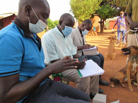 The Big Fix team captures rabies data using the GARC App (RVT tool). 