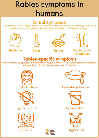 Rabies symptoms sale in dogs timeline