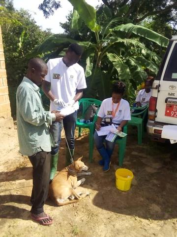 A vaccinator collects vaccination data and writes a certificate as the owner waits patiently with their dog. 