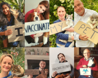 I vaccinate my pet against rabies photo collage, World Rabies Day 2020