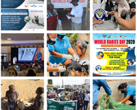 World Rabies Day 2021 event collage