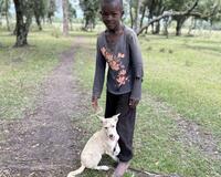 Boy with white dog on path, Kenya