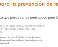 5 keys to bite prevention espanol