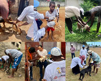 Vaccination teams in Zanzibar supported by GARC
