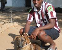 Rabies Vaccination Campaign, Beit Bridge, Southern Zimbabwe. Credit: VAWZ   