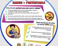 Rabies Awareness Fan English