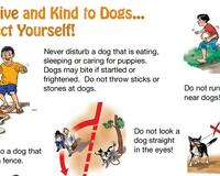 Be sensitive and kind to dogs poster English