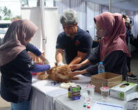 Boehringer Ingelheim team vaccinates dogs and cats in Indonesia