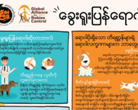 Burmese Rabies Poster
