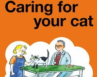Caring  for your cat English
