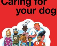 Caring for your dog english