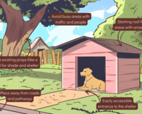 Choosing the place for pet dog shelter