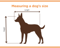 Measuring a dog's size
