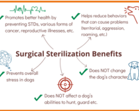 Surgical sterilization benefits