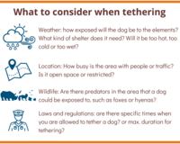 What to consider when tethering