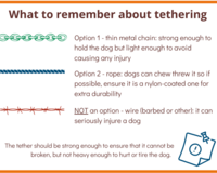 What to remember about tethering