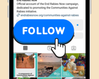 End Rabies Now is on Instagram