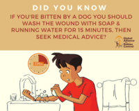 Did you know fact about wound washing after an exposure to prevent rabies. 