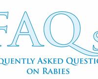 FAQ on rabies English