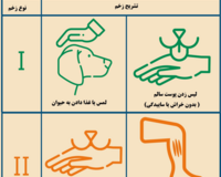 Farsi Wound categories 