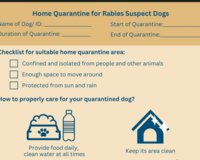 home quarantine guide for dogs