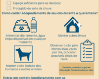 home quarantine guide for dogs PT