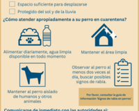 home quarantine guide for dogs ES