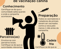 Portuguese Tips for dog vax