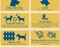 rabies signs in animals VN