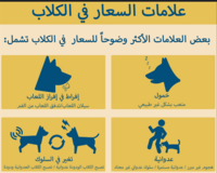 rabies signs in animals_thumbnail