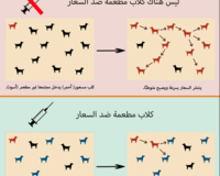 Why rabies vaccination is important _thumbnail