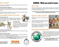 Rabies what you need to know English