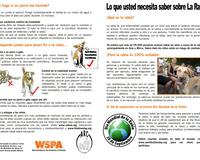 Rabies what you need to know espanol