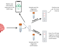 RAIDER process diagram, GARC