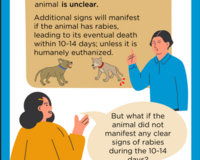 animal quarantine explanation (english)