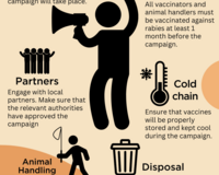 Tips for planning a dog vaccination campaign infographic by GARC